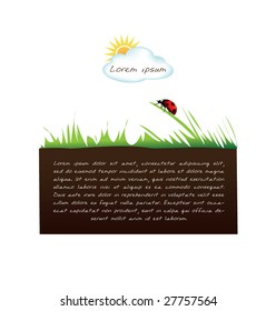 text frame with ladybug