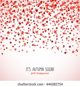 Text frame made from red maple leaves. Fall is coming. Copy space. Background of autumn leaves. Momiji. Frame for text. Autumn concept. Vector illustration.