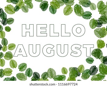text hello august in the frame of the monstera leaves on white background