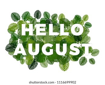 text hello august with smooth shadows on green random monstera leaves