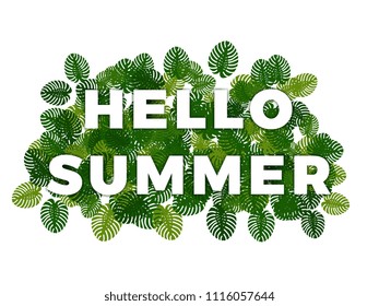 text hello summer with smooth shadows on green random monstera leaves