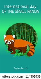 Text of the international day of the small Panda. Poster, postcard. Little red Panda in the bamboo forest. Image on green background. Vector
