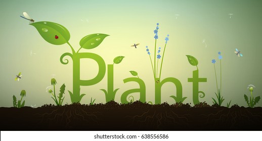 Text letters plant and green spring sprout with roots and red ladybug in the soil, summer garden inscription,  eco system, vector