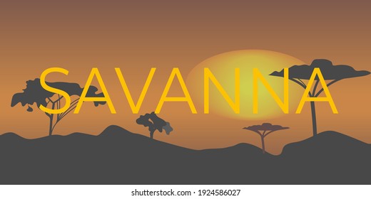 Text Savana Sunset under  flat color vector illustration. Peaceful place with big African trees. Beautiful nature with cartoon landscape with big mountains on background