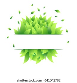 Text shape of big  green leaves and little flying leaflets. Text box. Floral frame on white background. Summer border. Vector illustration.