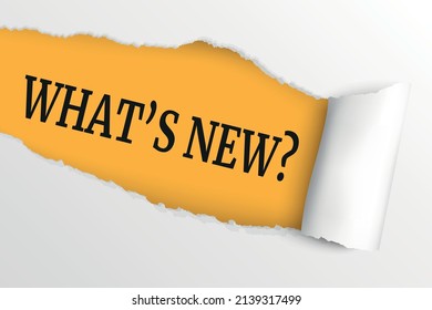 Text sign showing What's New?