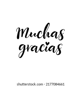 Text in Spanish - Many thanks. Lettering. Ink illustration. Modern brush calligraphy Isolated on white background. Thank you card