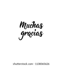 text in Spanish: Thank you very much. Lettering. calligraphy vector illustration. element for flyers, banner and posters. Modern calligraphy. muchas gracias.