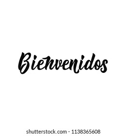 text in Spanish: Welcome. Lettering. calligraphy vector illustration. element for flyers, banner and posters. Modern calligraphy. Bienvenido