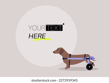 A text template, a sausage dog with a moving disability using a wheelchair support