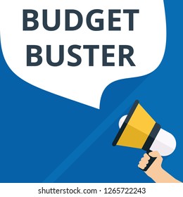 text writing Budget Buster. Vector illustration