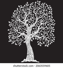 Textile Border Motifs Patterns Designs