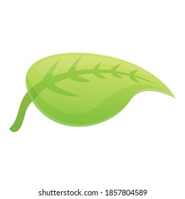 Icono de hoja verde textil. Caricatura del icono del vector de hoja verde textil para el diseño web aislado sobre fondo blanco
