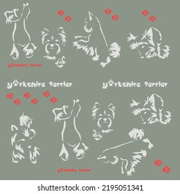 Textile pattern with cute little dogs. Decorative Yorkshire terrier in funny lying poses