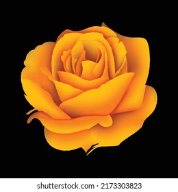 Textile Print Flower For Pattern, Wallpaper ,Fabric print ,rug , digital design