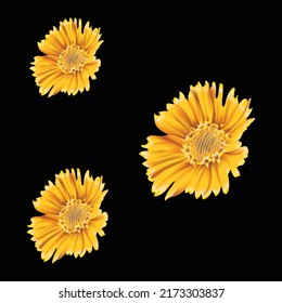 Textile Print Flower For Pattern, Wallpaper ,Fabric print ,rug , digital design