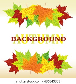 Texture with autumn maple leaves
