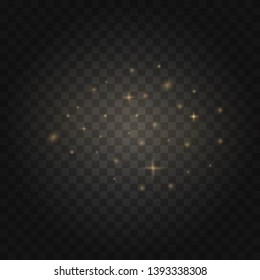Texture background abstract black and white or silver Glitter and elegant for Christmas. Dust white. Sparkling magical dust particles. Magic concept. Abstract background with bokeh effect.