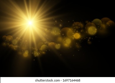 Texture background abstract black and white or silver, gold Glitter and elegant for Christmas Dust white. Sparkling magical dust particles Magic concept Abstract background with bokeh effect. Vector