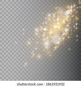 Texture background abstract black and white or silver, gold Glitter and elegant for Christmas. Dust white. Sparkling magical dust particles. Magic concept. Abstract background with bokeh effect