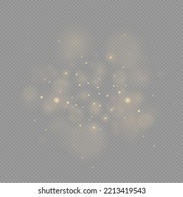 Texture background abstract black and white or silver Glitter and elegant for Christmas. Dust white. Sparkling magical dust particles. Magic concept. Abstract background with bokeh effect. Vector