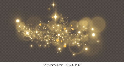 Texture background abstract black and white or silver, gold Glitter and elegant for Christmas. Dust white. Sparkling magical dust particles. Magic concept. Abstract background with bokeh effect