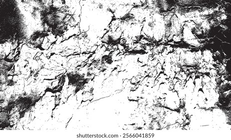 texture background stone unravelled black white vector design