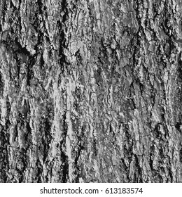 Texture bark shape with seamless background.