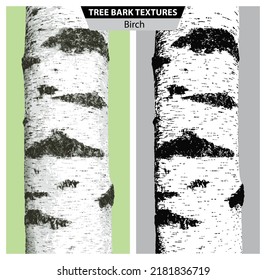 The texture of birch bark. Vector isolated realistic black and white and multicolor illustration of birch trunks.