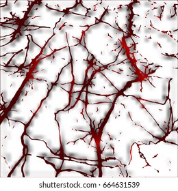 Texture of blood vessels under a microscope on a white background