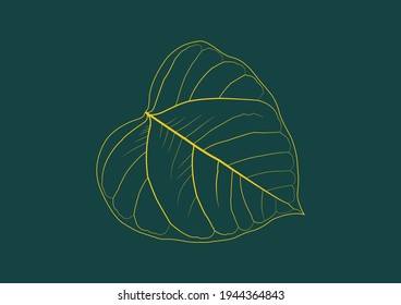 Texture of Bodhi leaf on the green background