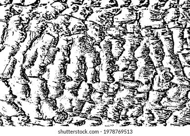 Texture of burnt wood after fire vector background.