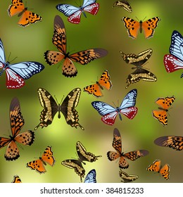 Texture Butterflies. Realism style execution. Background.