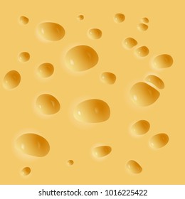 Texture of cheese with holes close up. Vector illustration