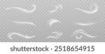 Texture of cold winter wind. Holiday vector snowstorm. Christmas cold snowstorm effect.Light effect.