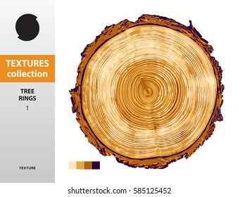 TEXTURE COLLECTION. Tree rings 1. Four-color vector saw cut