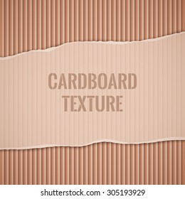 The texture of corrugated cardboard with torn edges