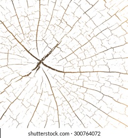  texture of cracked ground. Vector illustration background.