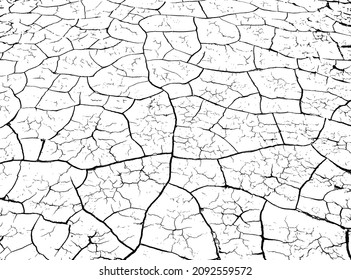 The texture of cracks. Cracked soil. Black and white vector illustration.