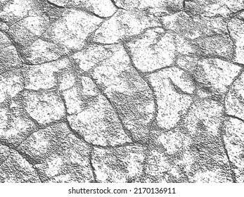 The texture of cracks. Cracked soil. Black and white vector realistic illustration.