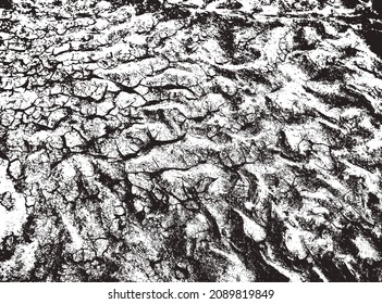 The texture of cracks. The structure is dry cracked soil. Black and white vector illustration.