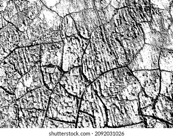 The texture of cracks. The structure is dry cracked soil. Black and white vector illustration.
