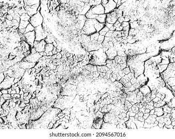 The texture of cracks. The structure of dry cracked soil. Black and white vector illustration.