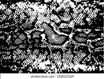 Texture of crocodile or snake skin leather, grunge vector background