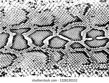 Texture of crocodile or snake skin leather, grunge vector background