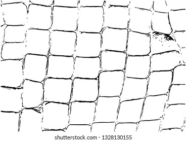 Texture of crocodile or snake skin leather, grunge vector background