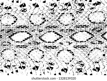 Texture of crocodile or snake skin leather, grunge vector background