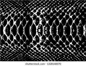 Texture of crocodile or snake skin leather, grunge vector background