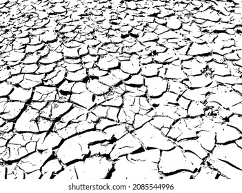 Texture of dry cracked earth. Black and white vector illustration.