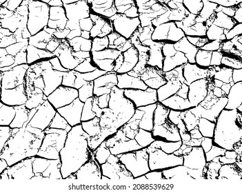 Texture of dry cracked earth. Black and white vector illustration.